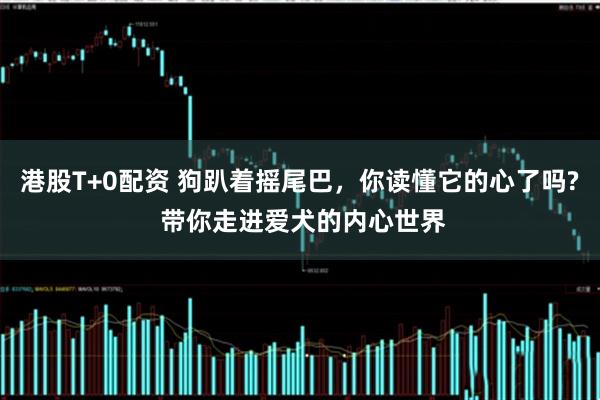 港股T+0配资 狗趴着摇尾巴，你读懂它的心了吗? 带你走进爱犬的内心世界