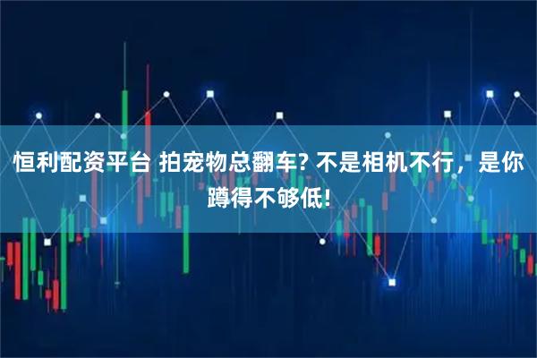 恒利配资平台 拍宠物总翻车? 不是相机不行，是你蹲得不够低!